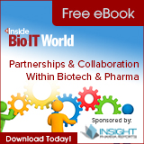 BITW eBook on Partnerships with IPR 